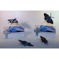 Schmetterlinge- Tischkarte 6er