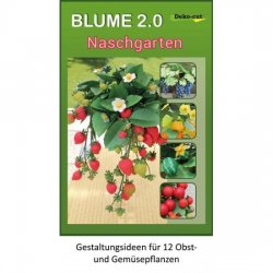 Bastelheft Blume 2.0 Naschgarten