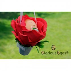 DIY Blumenkind-Rose- Glorious-Eggs