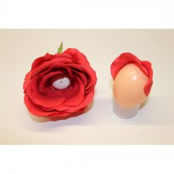 DIY Blumenkind-Rose- Glorious-Eggs